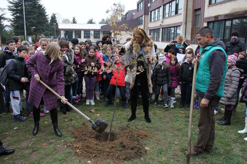 1457664_10201569882982939_1062772163_n