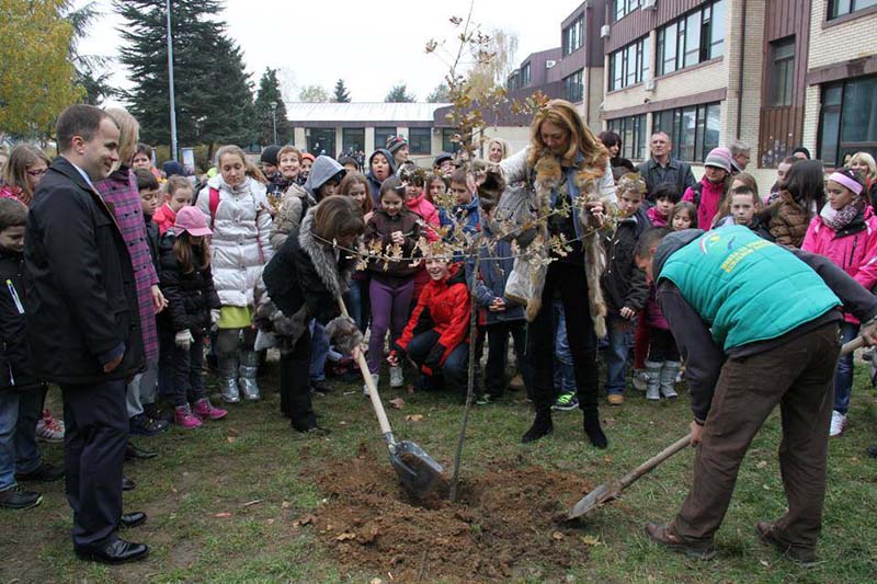 1476171_10201569882782934_1887262041_n