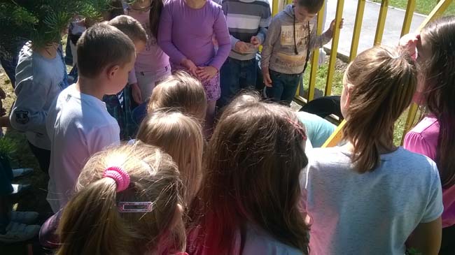 WP_20160928_12_06_43_Pro