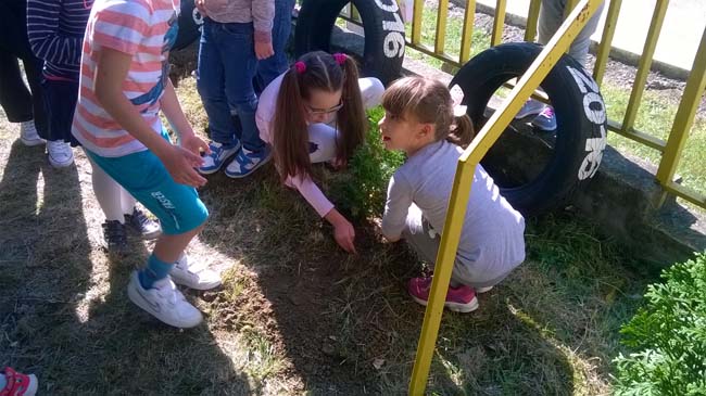 WP_20160928_12_07_30_Pro