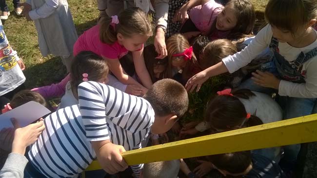 WP_20160928_12_13_25_Pro