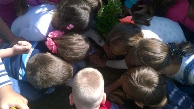 WP_20160928_12_13_36_Pro