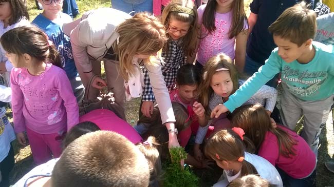 WP_20160928_12_13_42_Pro