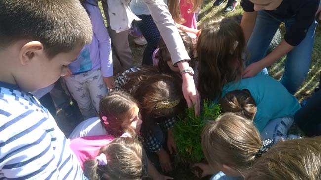 WP_20160928_12_14_08_Pro