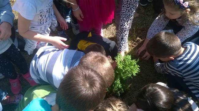 WP_20160928_12_16_10_Pro