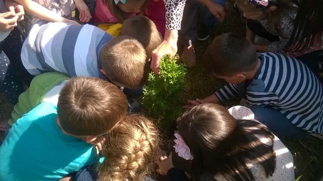 WP_20160928_12_16_14_Pro