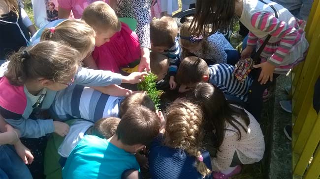 WP_20160928_12_16_29_Pro