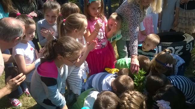 WP_20160928_12_16_55_Pro