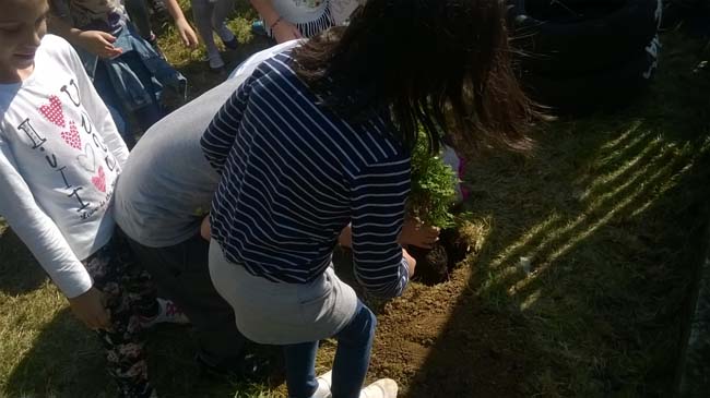 WP_20160928_12_18_04_Pro