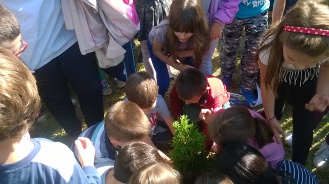 WP_20160928_12_18_21_Pro