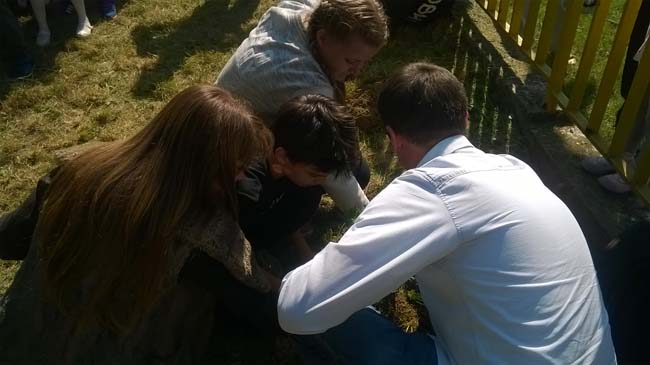 WP_20160928_12_20_41_Pro