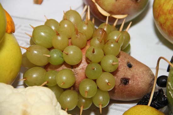 10003673_10152743225723490_3584646318088758011_o